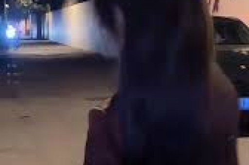 画面不堪入目！百万粉丝女网红被捕36部污秽视频藏儿童学习机里